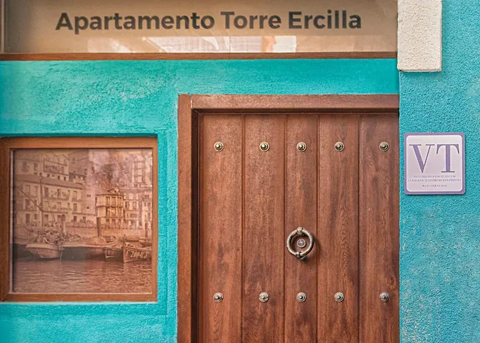 Apartamento Torre Ercilla